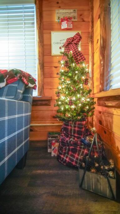 Charming Lakeview Cabin Near Geneva-On-The-Lake! Ashtabula Eksteriør bilde
